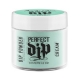 #2603111 Artistic Perfect Dip Coloured Powders CHARMING (Mint Green Crème) 0.8 oz.